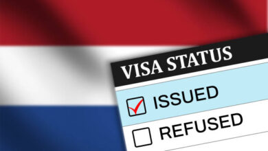 How to Secure €25,000 Grants & Jobs in the Netherlands with Visa Sponsorship in 2024